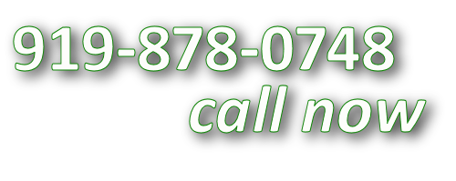 919-878-0748, Carpet DryClean